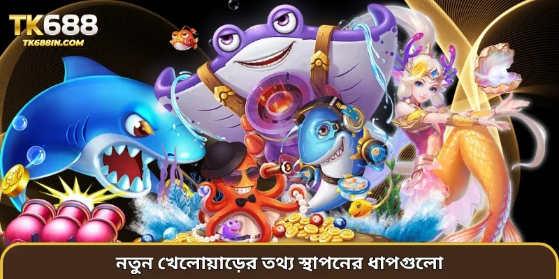 নতুন খেলোয়াড়ের তথ্য স্থাপনের ধাপগুলো